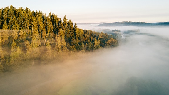 Pacific Northwest | Travelhome Campervakanties
